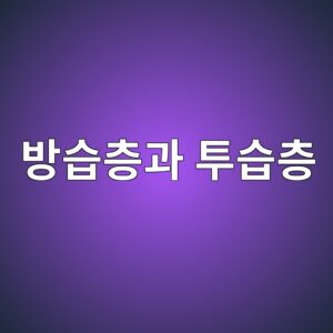 방습층과 투습층의 배치가 벽체 함수상태에 미치는 영향 7 ebb0a9ec8ab5ecb8b5eab3bc ed88acec8ab5ecb8b5 1785992305