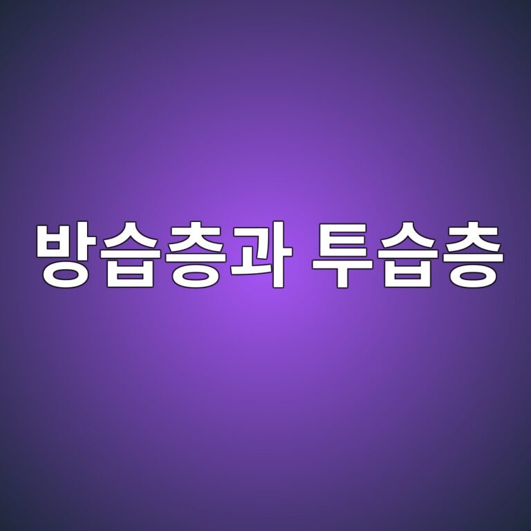 ebb0a9ec8ab5ecb8b5eab3bc ed88acec8ab5ecb8b5 1785992305