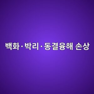 백화·박리·동결융해 손상과 미생물 오염의 연관성 8 ebb0b1ed9994c2b7ebb095eba6acc2b7eb8f99eab2b0ec9cb5ed95b4 ec8690ec8381 1786023281