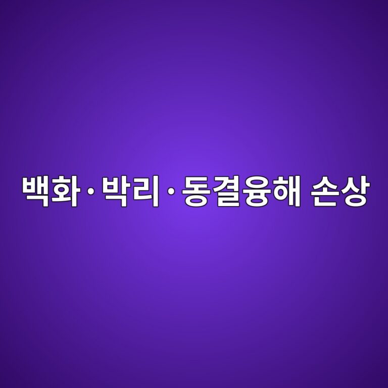 ebb0b1ed9994c2b7ebb095eba6acc2b7eb8f99eab2b0ec9cb5ed95b4 ec8690ec8381 1786023281