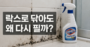 락스로 곰팡이를 닦으면 왜 같은 자리에 다시 피는가 6 화장실 타일 벽면의 곰팡이와 락스 스프레이