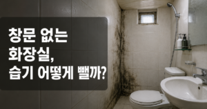 창문 없는 화장실, 습기를 빼는 현실적인 방법과 한계 5 창문 없는 화장실 벽면의 곰팡이
