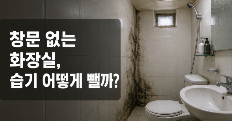 창문 없는 화장실 벽면의 곰팡이